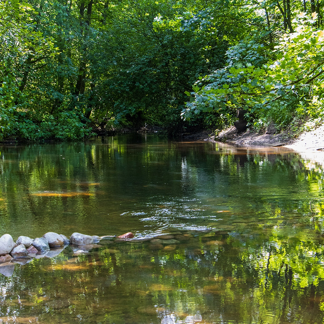 Grüne Parklandschaft mit Wasserflächen in Hamburg